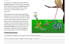 Introto Ecology Reading Comprehension Worksheet-1A - - Studocu in Ecology Reading Comprehension Worksheet