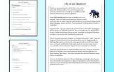 Life Of An Elephant Reading Comprehension Passage Printable regarding Elephants Reading Comprehension Worksheet