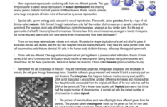 Meiosiscindy Grigg Read And Mark Up The Text Using The Rule for Meiosis Reading Comprehension Worksheet
