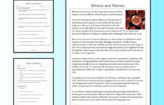 Mitosis And Meiosis Reading Comprehension Passage Printable within Meiosis Reading Comprehension Worksheet