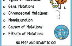 Mutations Reading Comprehension Worksheets - Classful in Mutation Reading Comprehension Worksheet