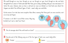 Page 3 - Customize 191+ Reading Comprehension Worksheets Templates for Five Senses Reading Comprehension Worksheets