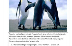 Penguins -Comprehension &amp; Vocabulary…: English Esl Worksheets Pdf inside Penguins Reading Comprehension Worksheets