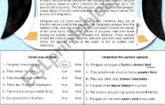 Penguins - Reading Comprehension + 4 Different Activities - Esl with Penguins Reading Comprehension Worksheets