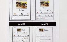 Reading Comprehension Activities In Special Education! - Teach for Free Autism Reading Comprehension Worksheets