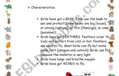 Reading Comprehension. Birds. - Esl Worksheetnandoas in Birds Reading Comprehension Worksheets