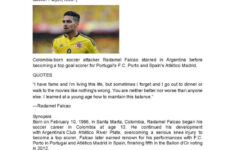 Reading Comprehension Falcao Garcia…: English Esl Worksheets Pdf &amp; Doc pertaining to Soccer Reading Comprehension Worksheets