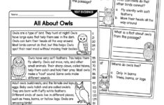 Reading Comprehension Passage - Nonfiction Text Evidence - All with Owl Reading Comprehension Worksheets