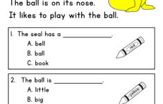Reading Comprehension Passages Guided Reading Level C | Read Me A Book for Level C Reading Comprehension Worksheets