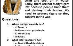Reading Comprehension Worksheet For Grade 2 in Key Stage 2 Reading Comprehension Worksheets
