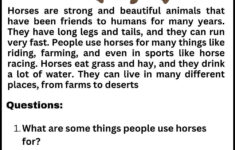 Reading Comprehension Worksheet For Grade 3 throughout Level 3 Reading Comprehension Worksheets