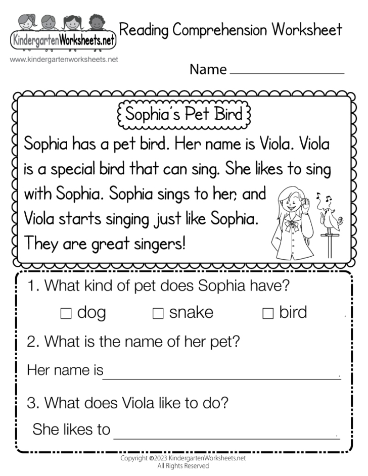 Reading Comprehension and Vocabulary Worksheets