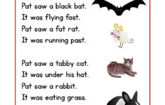 Reading Comprehension Worksheet - Pat And The Animals intended for Free Animal Reading Comprehension Worksheets