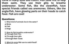 Reading Comprehension Worksheet With Answer throughout Reading Comprehension Worksheets and Answers