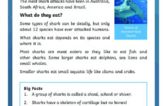 Sharks Differentiated Reading Comprehension Activity - St inside Shark Reading Comprehension Worksheets