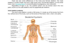 Skeletal System: English Esl Worksheets Pdf &amp; Doc for Skeleton Reading Comprehension Worksheet
