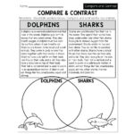 Summer   Early Finishers 2Nd Grade   Ela   Compare & Contrast For Reading Comprehension Compare And Contrast Worksheets