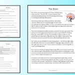 The Brain Reading Comprehension Passage Printable Worksheet For Challenging Reading Comprehension Worksheets