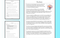 The Brain Reading Comprehension Passage Printable Worksheet for Challenging Reading Comprehension Worksheets