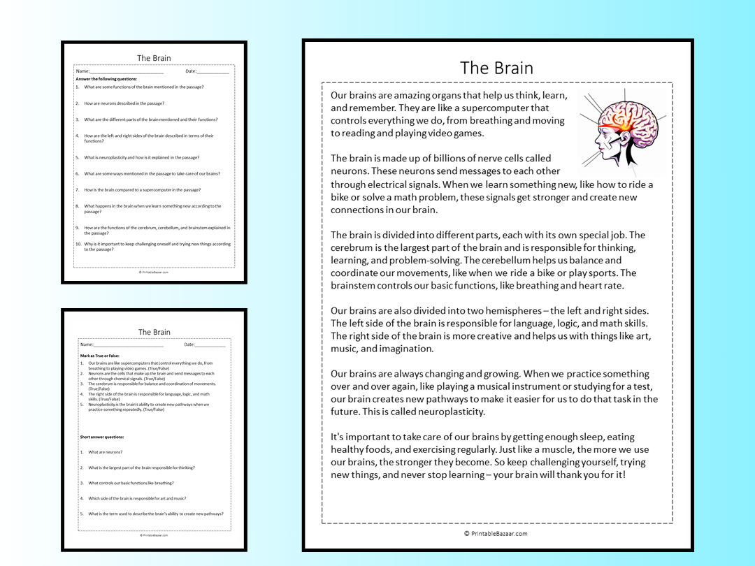 The Brain Reading Comprehension Passage Printable Worksheet for Challenging Reading Comprehension Worksheets