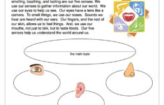 Using Your Five Senses Worksheet - Have Fun Teaching for Five Senses Reading Comprehension Worksheets