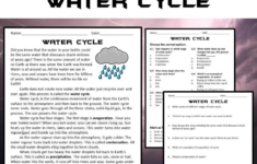 Water Cycle Reading Comprehension Passage And Questions - Pdf for Water Cycle Reading Comprehension Worksheet