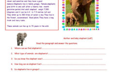 What Do You Know About Elephants Pic…: English Esl Worksheets Pdf intended for Elephants Reading Comprehension Worksheet