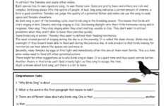 Why Do Birds Sing? Reading For Detai…: English Esl Worksheets Pdf with regard to Birds Reading Comprehension Worksheets