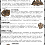 1   Fossils Reading Comprehension Worksheet For Earth Science With Fossil Reading Comprehension Worksheets For Kids