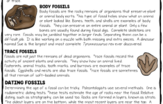 1 - Fossils Reading Comprehension Worksheet For Earth Science with Fossil Reading Comprehension Worksheets For Kids
