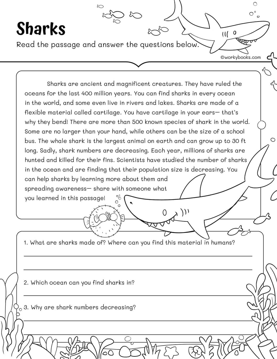10 Free 3Rd Grade Reading Fluency Passages | Workybooks with Free Shark Reading Comprehension Worksheets