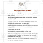 3Rd & 4Th Grade Reading Comprehension Passages   Turtle Legends Within African Culture Reading Comprehension Worksheets Grade 3