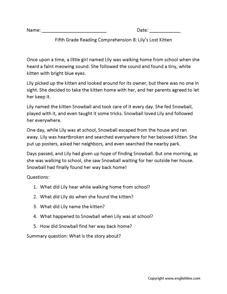 Reading Comprehension Worksheet For Grade 5