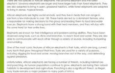 6Th Grade Reading Comprehension | Grade1To6 intended for Grade 6 Reading Comprehension Worksheets Free