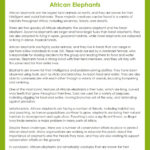 6Th Grade Reading Comprehension | Grade1To6 Throughout 6th Reading Comprehension Worksheets