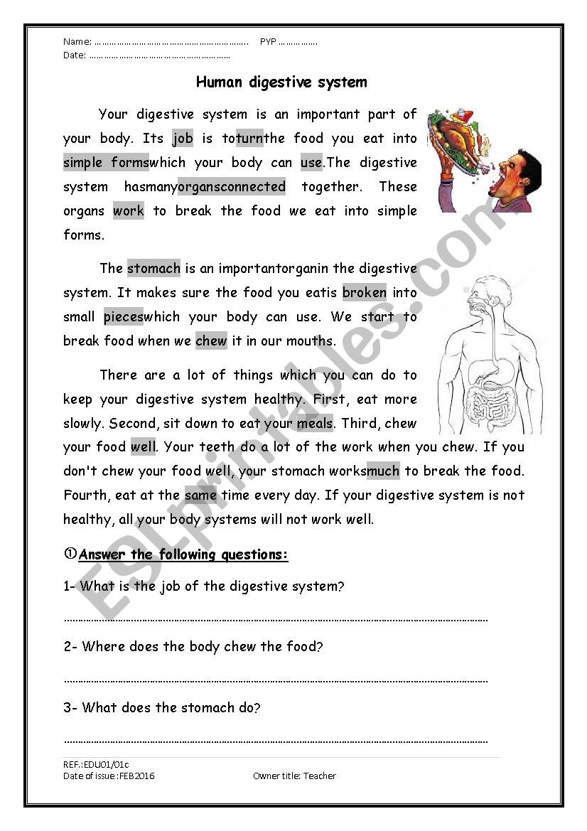 A Reading Comprehension Passage About The Digestive System - Esl inside Human Body Systems Reading Comprehension Worksheets