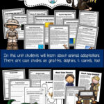 Animal Adaptations Reading Comprehension Worksheets Hibernation Inside Animal Adaptations Reading Comprehension Worksheets