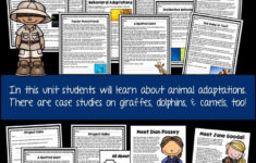 Animal Adaptations Reading Comprehension Worksheets Hibernation inside Animal Adaptations Reading Comprehension Worksheets
