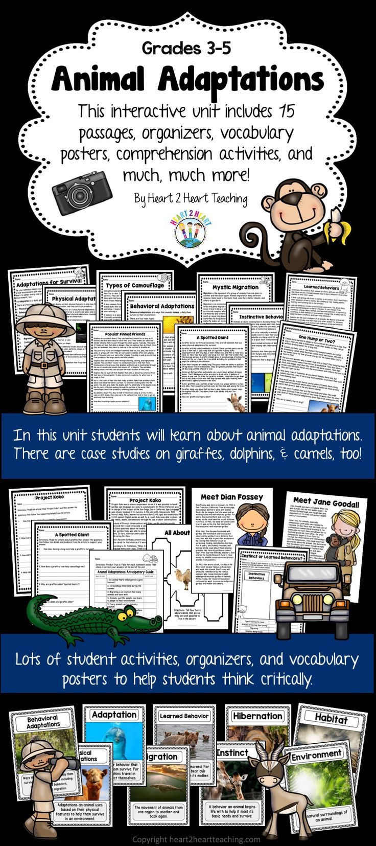 Animal Adaptations Reading Comprehension Worksheets Hibernation inside Animal Adaptations Reading Comprehension Worksheets