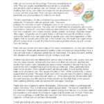 Animal Vs Plant Cells Reading Assignment     Studocu Throughout Plant Cells Reading Comprehension Worksheet