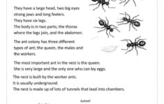 Ants Reading For Detail (Dee…: English Esl Worksheets Pdf &amp; Doc for Insect Reading Comprehension Worksheets