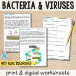 Bacteria And Viruses   Reading Comprehension Worksheets   Laney Lee In Bacteria Reading Comprehension Worksheet