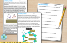 Bacteria And Viruses - Reading Comprehension Worksheets - Laney Lee in Bacteria Reading Comprehension Worksheet