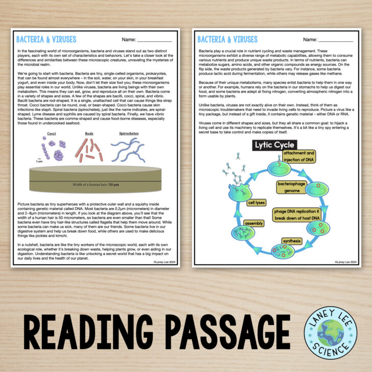 Bacteria Reading Comprehension Worksheet
