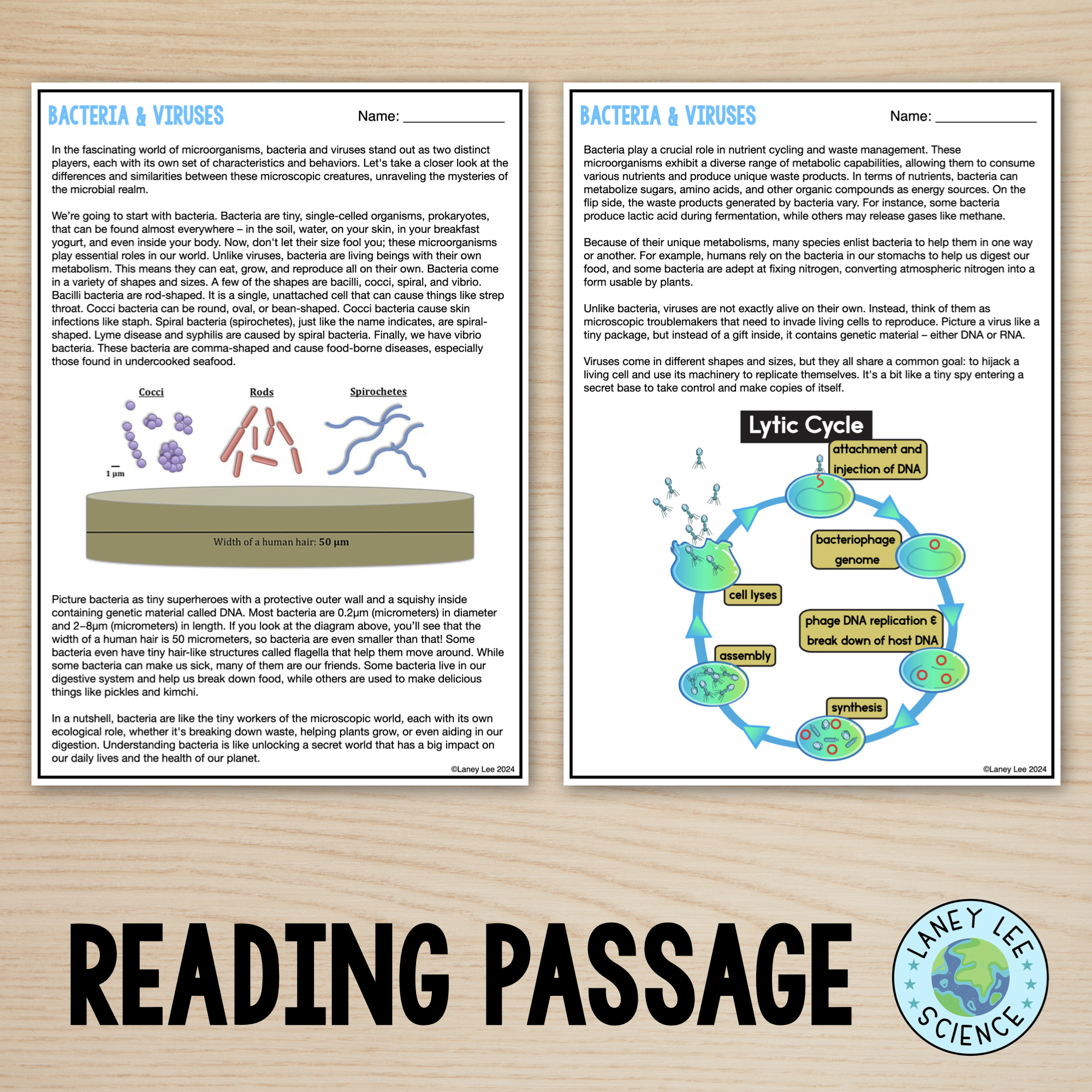 Bacteria And Viruses - Reading Comprehension Worksheets - Laney Lee pertaining to Bacteria Reading Comprehension Worksheet
