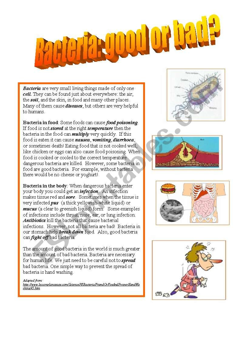 Bacteria - Good Or Bad? Reading Comprehension - Esl Worksheetinge with Bacteria Reading Comprehension Worksheet