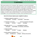 Basic French Reading Comprehension (French Learning, Classroom Pertaining To French Reading Comprehension Worksheets