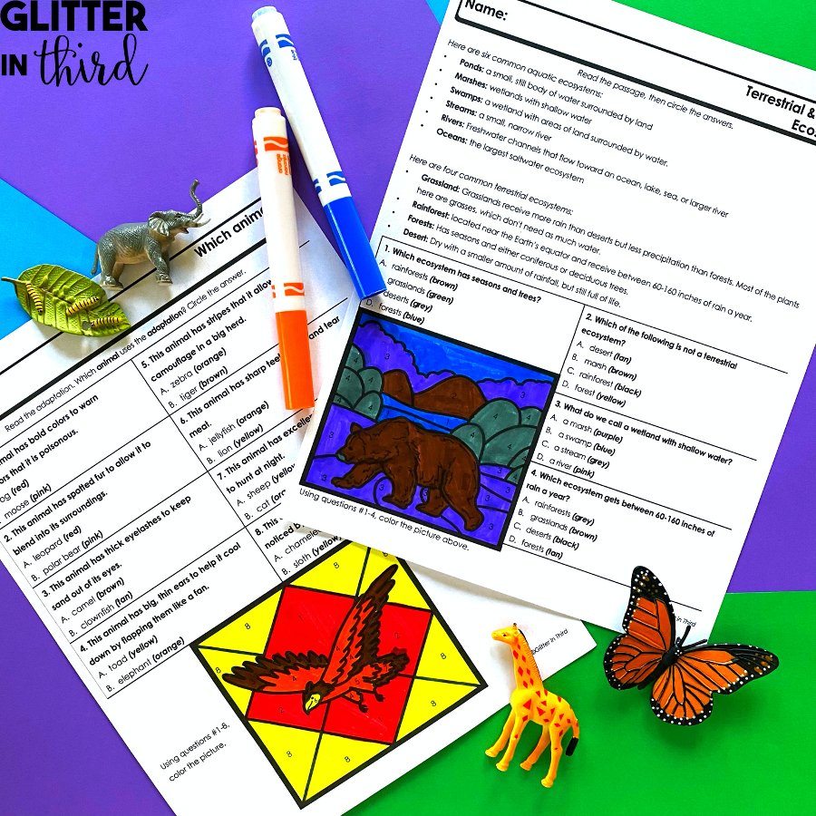 Boost Literacy With Science Reading Comprehension Worksheets in 6Th Grade Science Reading Comprehension Worksheets