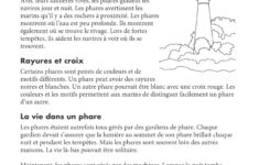 Canadian French Daily Reading Comprehension Grade 2 - Ebook throughout Free Printable French Reading Comprehension Worksheets