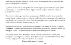 Canadian French Daily Reading Comprehension Grade 3 - Ebook within Free Printable French Reading Comprehension Worksheets